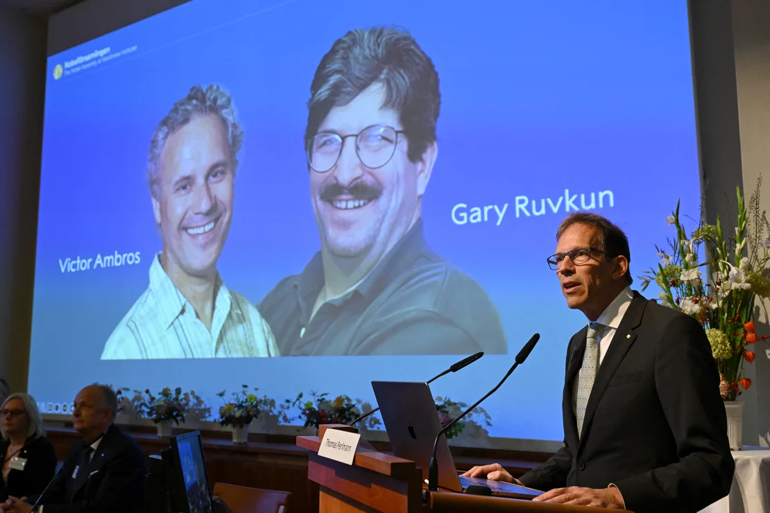 Nobel Prize in medicine goes to two American biologists for work on the discovery of microRNA